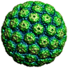 Acidic_Virus_